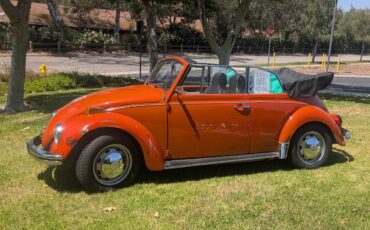 Vw-bug-1970-orange-5