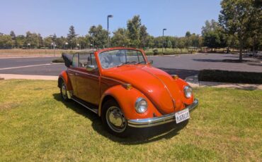 Vw-bug-1970-orange-6