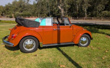 Vw-bug-1970-orange-7
