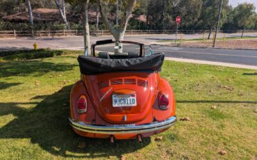 Vw-bug-1970-orange-9