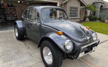 Vw-bug-1971-6