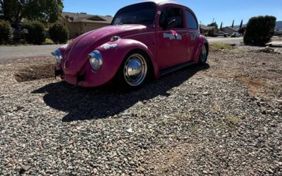 Vw bug 1974