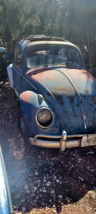Vw-bug-ragtop-1960-blue-14