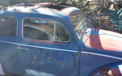 Vw bug ragtop 1960