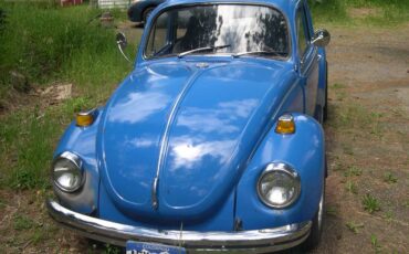 Vw-super-beetle-1972-blue-15