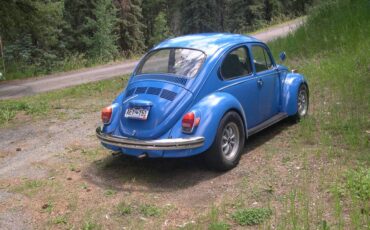 Vw-super-beetle-1972-blue-7