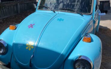Vw-super-beetle-1973-blue-15