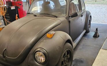 Vw-super-beetle-1974-4
