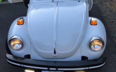 Vw-super-beetle-truck-1974-white-5