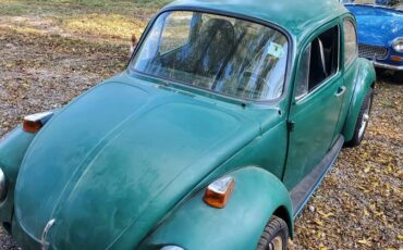 Vw-super-beetle-volkswagen-1973-green-3