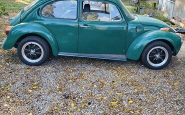 Vw-super-beetle-volkswagen-1973-green