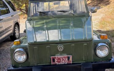 Vw181-1974-grey-1