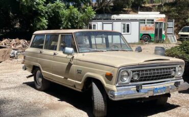 Wagoneer-1975-brown