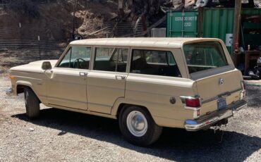 Wagoneer-1975-brown-7