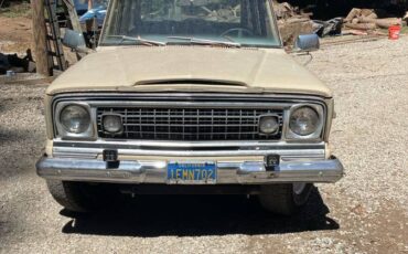 Wagoneer-1975-brown-8