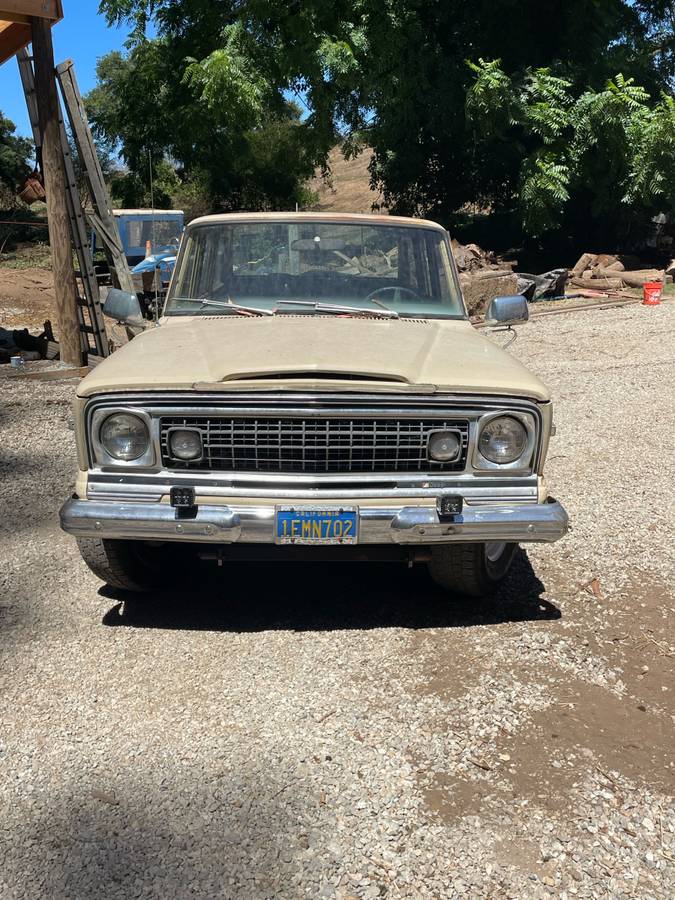 Wagoneer-1975-brown-8