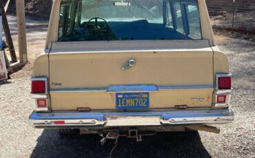 Wagoneer-1975-brown-9
