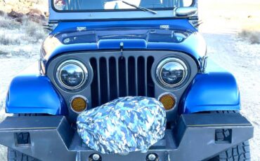 Willis-jeep-cj-5-1969-blue-15