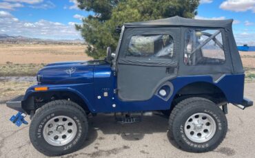 Willis-jeep-cj-5-1969-blue-16