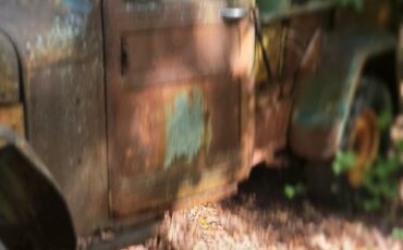 Willys-44-Series-I-1950-Cab-Chassis-2