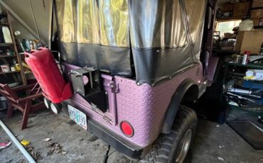 Willys-jeep-1951-18