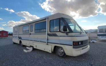Winnebago-chieftain-1991-white-8