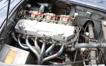 Ac-Ace-1956-Blue-Black-6