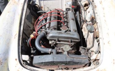 Alfa-romeo-Spider-1958-White-Red-5