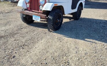 Amc-Jeep-1974-White-Black-1