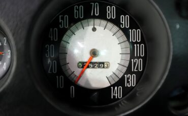 American-motors-Amx-1969-Big-Bad-Green-Charcoal-Leather-1