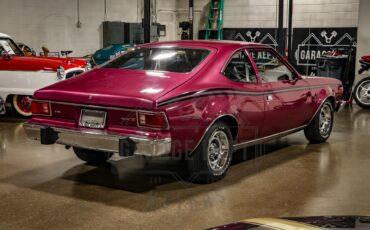 American-motors-Hornet-1974-Plum-Metallic-Black-1