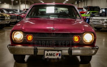 American-motors-Hornet-1974-Plum-Metallic-Black-13