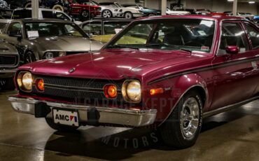 American-motors-Hornet-1974-Plum-Metallic-Black-14