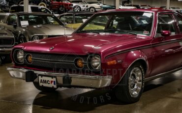 American-motors-Hornet-1974-Plum-Metallic-Black-15