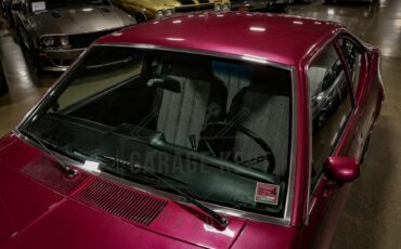 American-motors-Hornet-1974-Plum-Metallic-Black-17