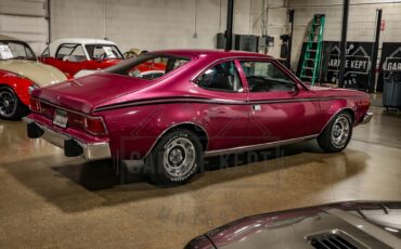 American-motors-Hornet-1974-Plum-Metallic-Black-2