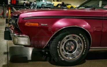 American-motors-Hornet-1974-Plum-Metallic-Black-21