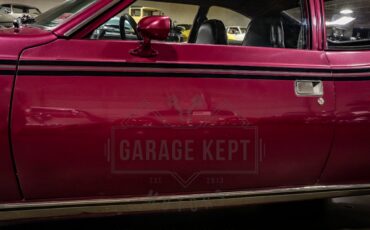 American-motors-Hornet-1974-Plum-Metallic-Black-23