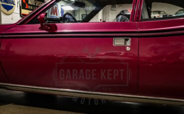 American-motors-Hornet-1974-Plum-Metallic-Black-24