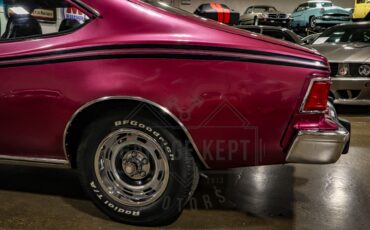 American-motors-Hornet-1974-Plum-Metallic-Black-26