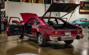 American-motors-Hornet-1974-Plum-Metallic-Black-28