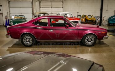 American-motors-Hornet-1974-Plum-Metallic-Black-3