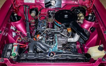 American-motors-Hornet-1974-Plum-Metallic-Black-31