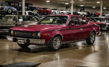 American-motors-Hornet-1974-Plum-Metallic-Black-33