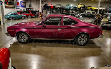 American-motors-Hornet-1974-Plum-Metallic-Black-35