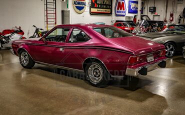 American-motors-Hornet-1974-Plum-Metallic-Black-36