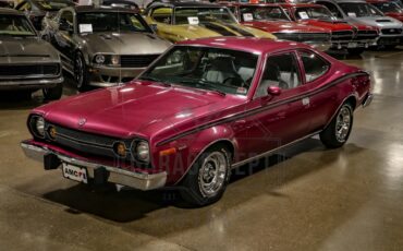 American-motors-Hornet-1974-Plum-Metallic-Black-37