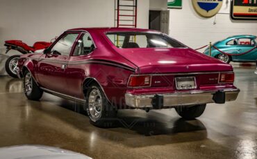 American-motors-Hornet-1974-Plum-Metallic-Black