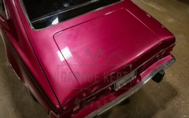 American-motors-Hornet-1974-Plum-Metallic-Black-38