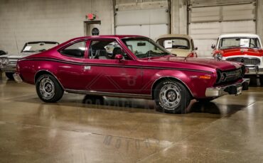 American-motors-Hornet-1974-Plum-Metallic-Black-4